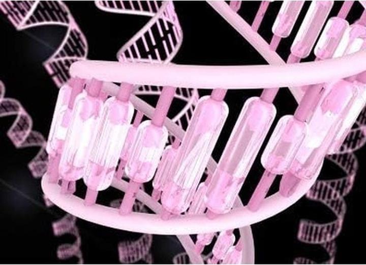 Produktbild Schwarzkopf BC Fibre Force Fortifying Primer (200 ml)