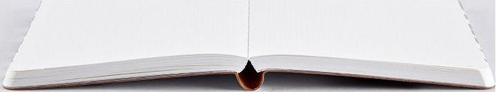 Actual product image Nuuna Graphic S, Write - Wrong (15 x 10.8 cm, Dotted, Soft cover)