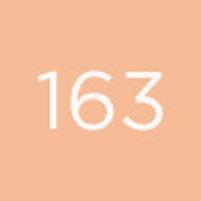 Actual product image Diego dalla Palma Matt Eyeshadow No 163 (163)
