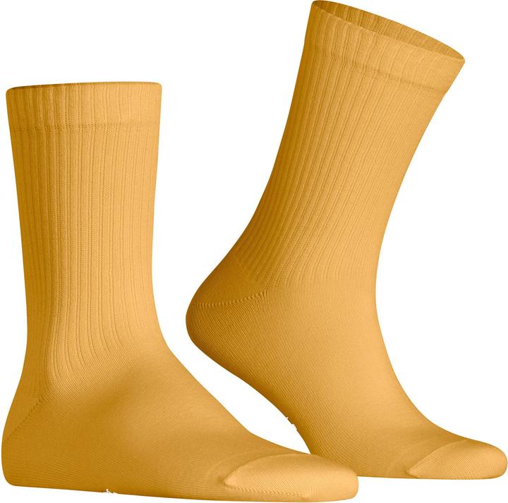 Corn, Yellow