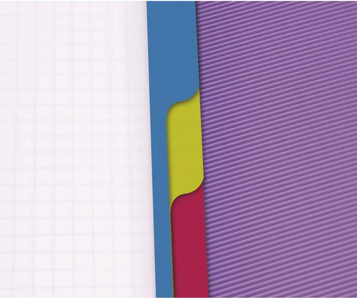 Image du produit Clairefontaine Livre Linicolor Evolutive (A4+, Quadrillé, Couverture rigide)