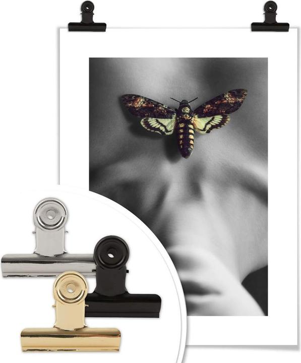 Immagine prodotto Trenddeko La falena (50 x 60 cm)