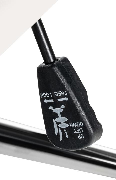 Actual product image CLP Mollis