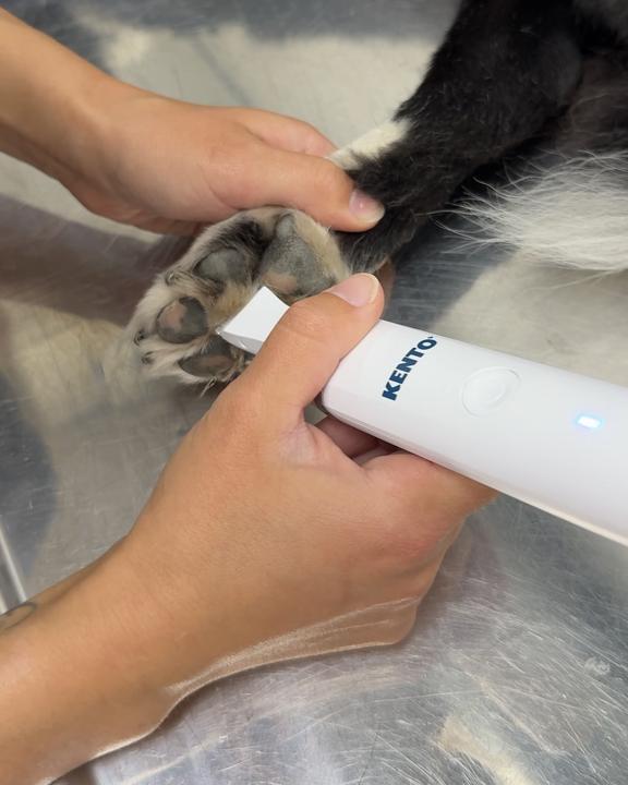 Actual product image Default KENTO dog paw trimmer 2 in 1 (Dog)