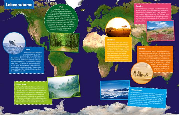 Produktbild Tessloff Geniale Tiere... und ihre Tricks (Deutsch, Andrea Weller-Essers, 2015)