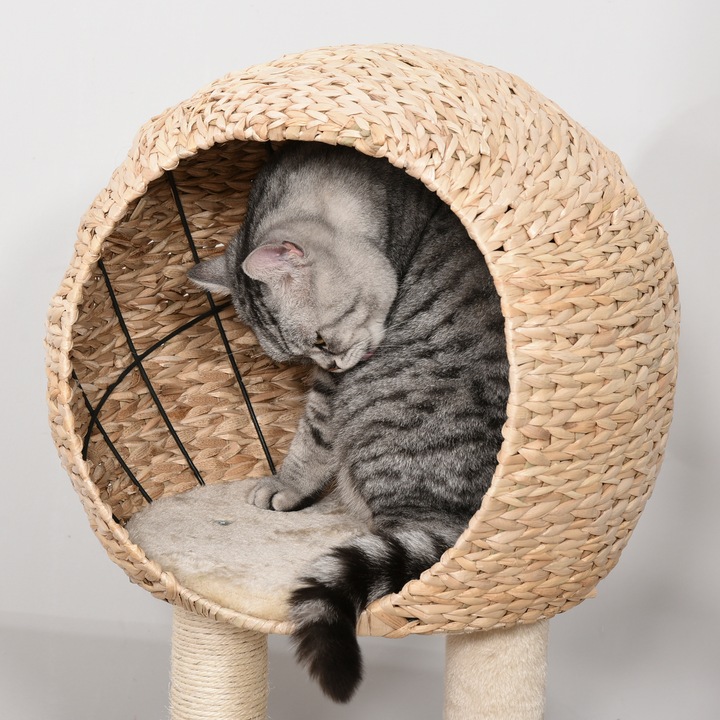 Image du produit PawHut Arbre à chat avec grotte (100 cm, Beige)