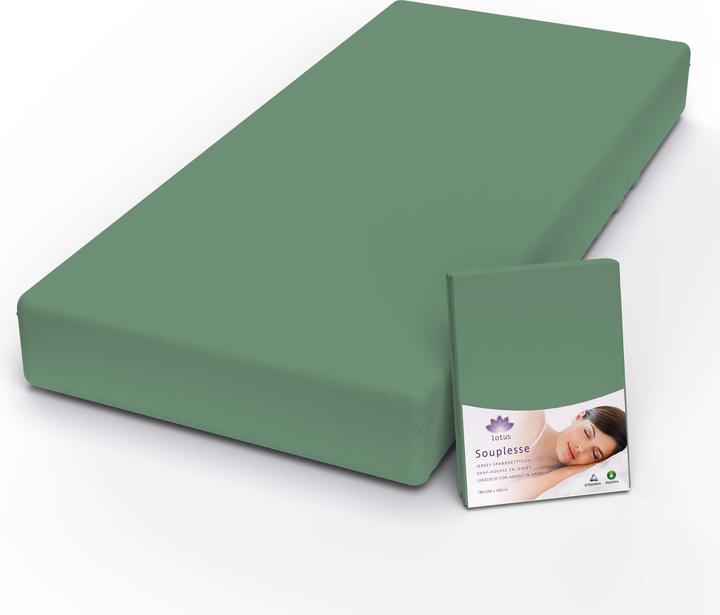 Actual product image Lotus Bettwaren Jersey fitted sheet Souplesse (180 x 200 cm)