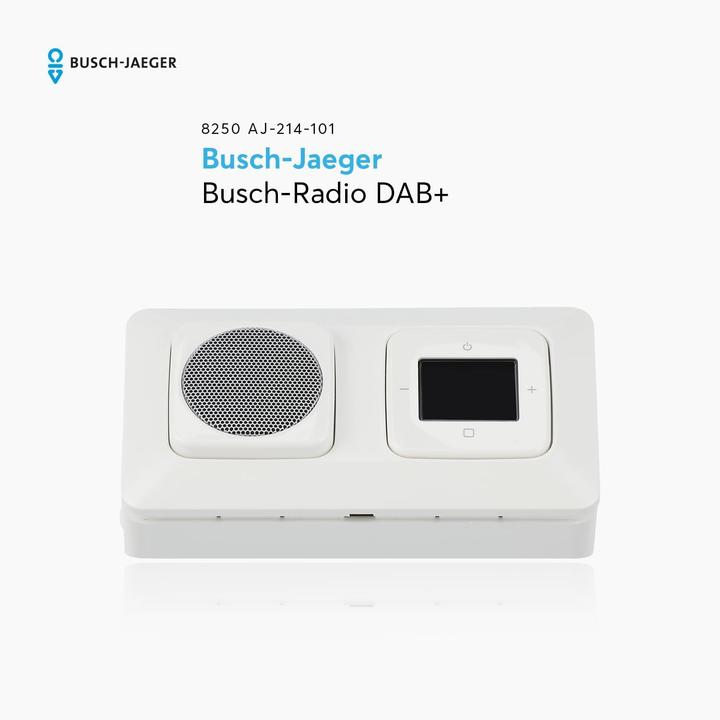 Actual product image Busch-Jaeger Busch-Radio DAB+ complete set for corner mounting (DAB+, FM)