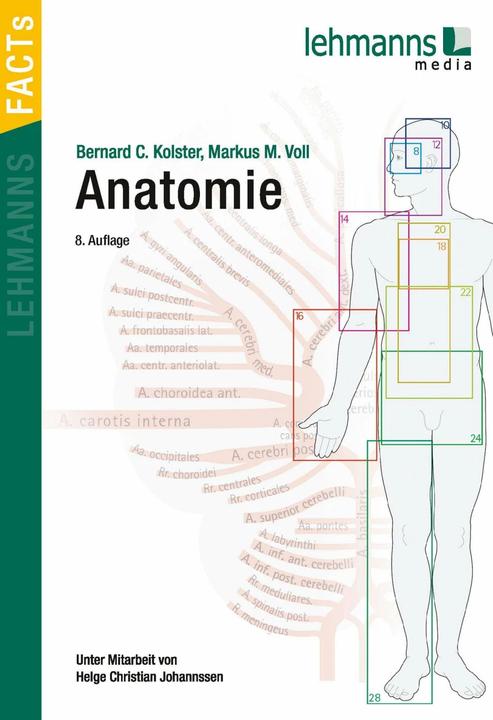 Anatomie (Deutsch, Markus M Voll, Bernhard Kolster, Helge Chr. Johannssen, 2021)