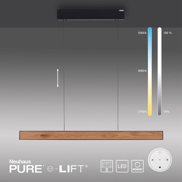 Produktbild Pure E-Motion