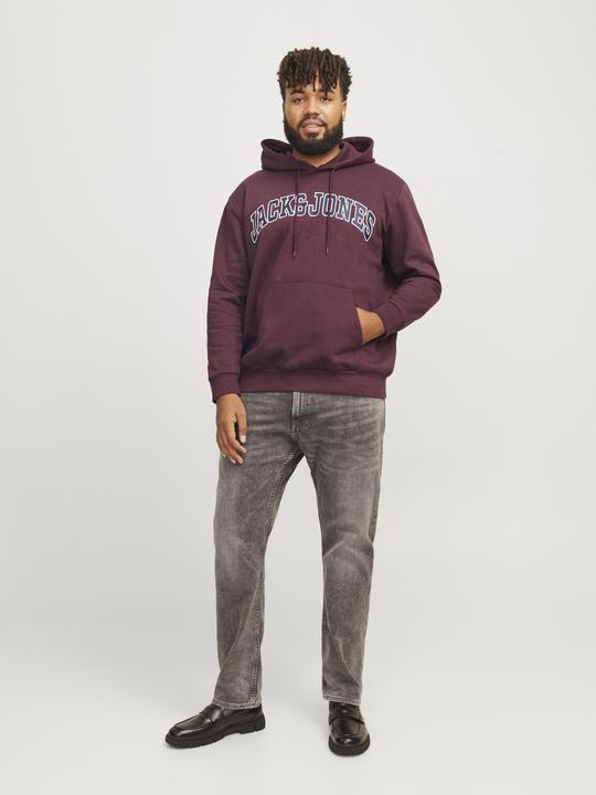 Image du produit Jack & Jones Jjecaleb Varsity Sweat Hood Noos Pls (4XL)