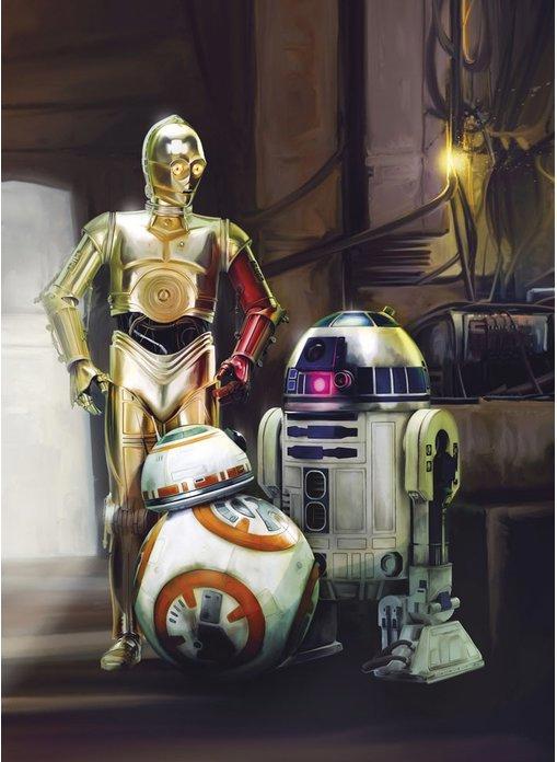 Hellfire Entertainment Star Wars - Episode VII: Three Droids - R2-D2, C-3PO & BB-8 (184 x 254 cm)