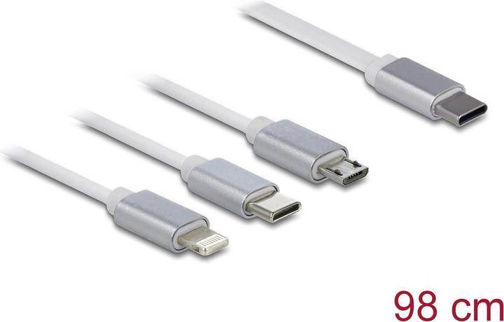 Actual product image Delock USB C – USB C/Lightning/Micro USB (0.98 m, USB 2.0)