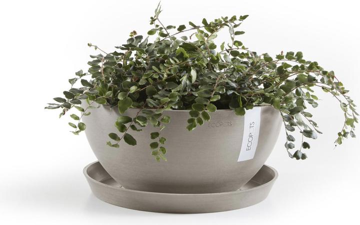 Produktbild Ecopots Saucer Rund 21
