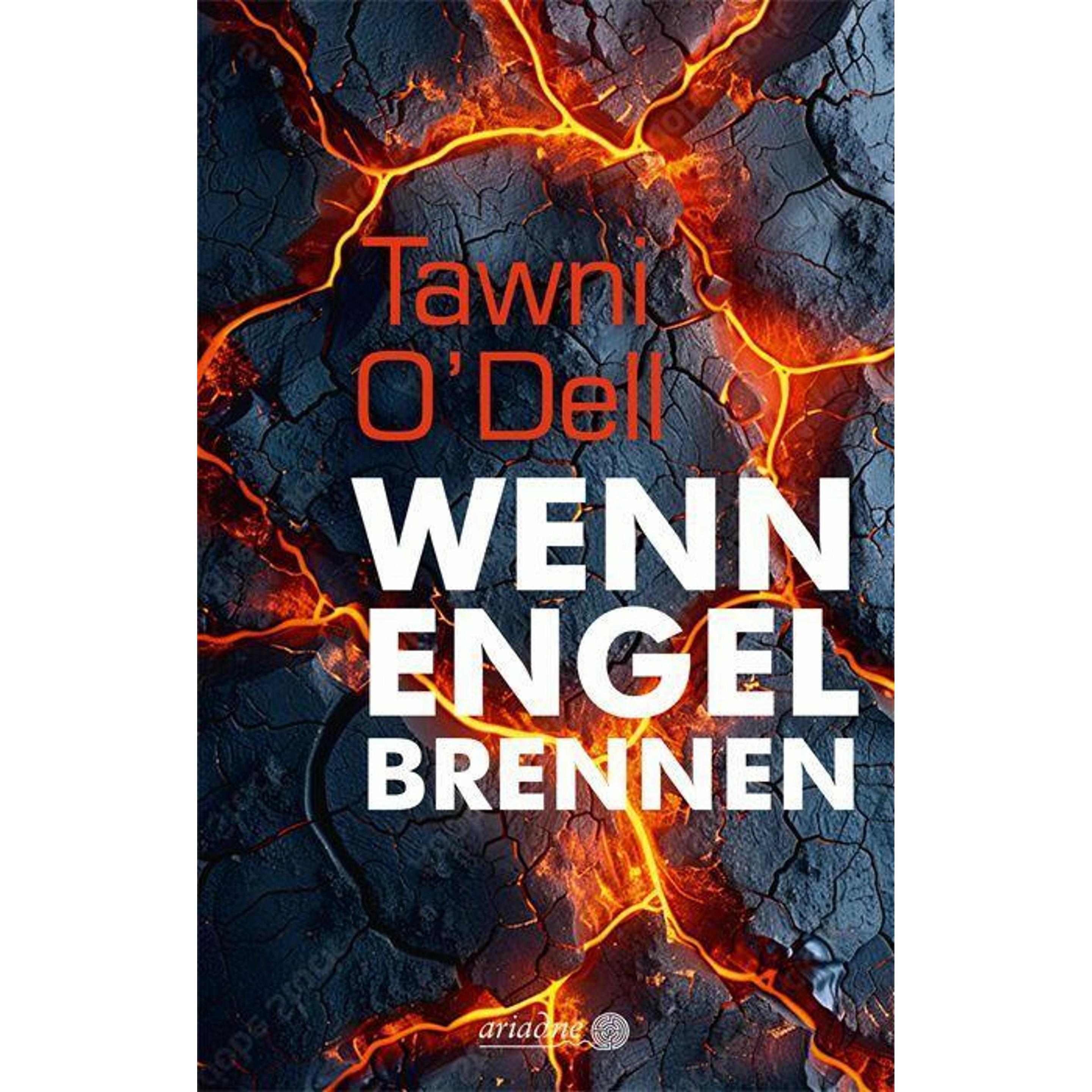 Wenn Engel brennen, Belletristik von Tawni O'Dell