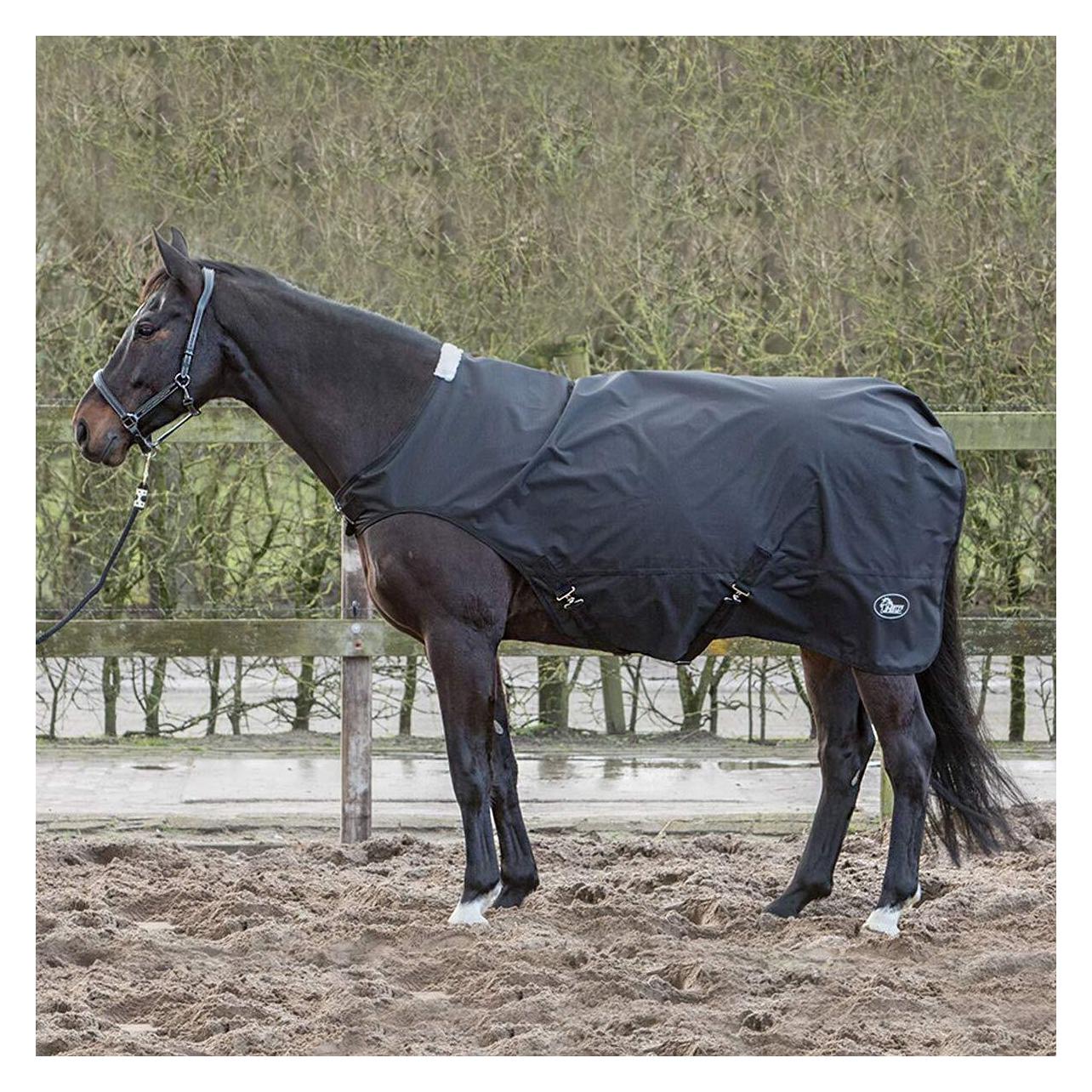 Harry's Horse, Pferdedecke