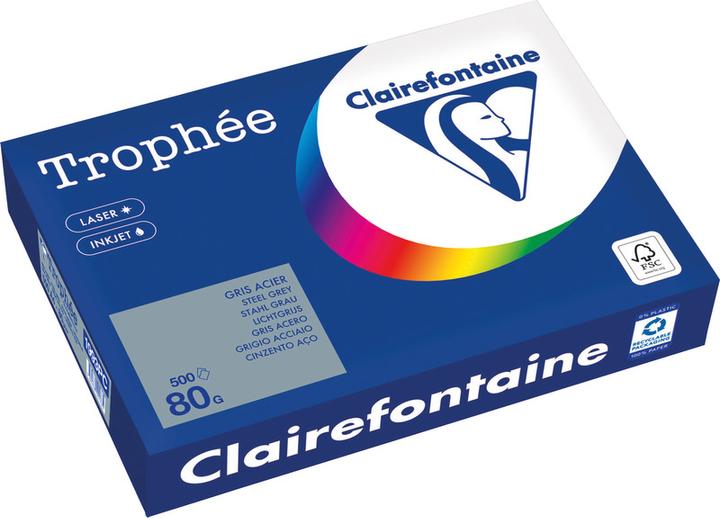 Immagine prodotto Clairefontaine Carta universale Trophée colorata (80 g/m², 500 x, A4)