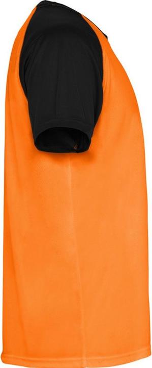 Actual product image Alpinia Unisex Adult Indianapolis Short-Sleeved Sports T-Shirt (L)