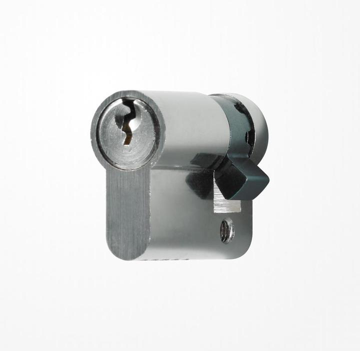 Actual product image JUNG Profile half cylinder