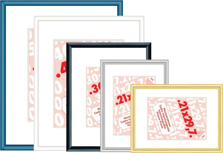 Productafbeelding Debex Verwisselbaar frame (70 x 100 cm)