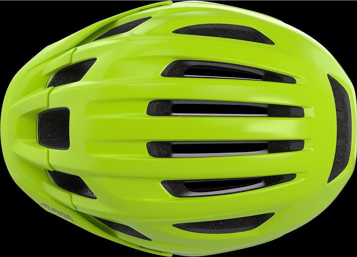 Immagine prodotto ALPINA SPORTS Paranus Mips (59 - 61 cm)