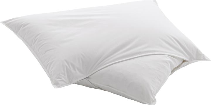Immagine prodotto Dauny Capa Fibre (50 x 70 cm)