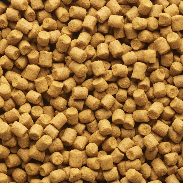Produktbild Caperlan Pellets Scopex 4 mm