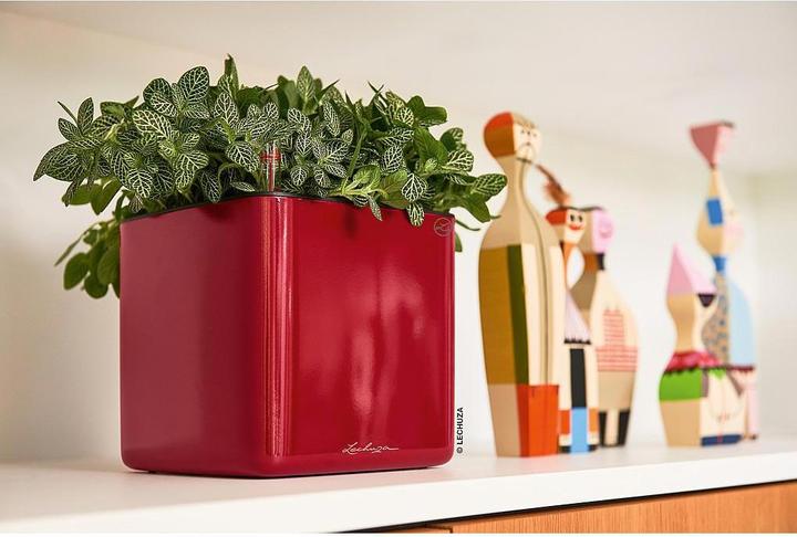 Produktbild Lechuza CUBE Glossy 16 (16 x 16 x 16 cm)