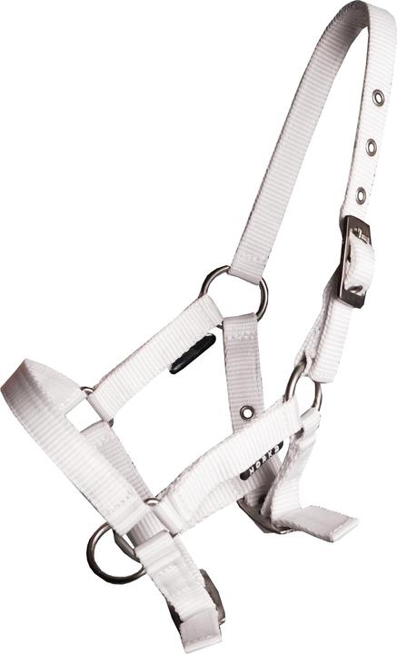 Immagine prodotto Horka Cavezza per puledro