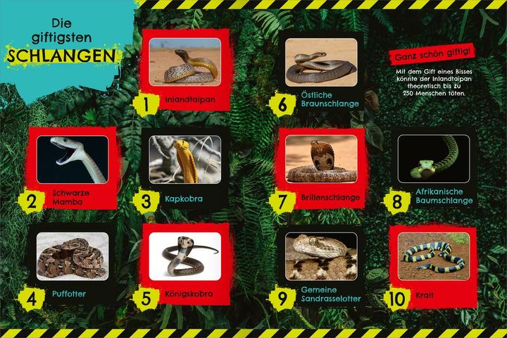 Image du produit Le cahier d'autocollants le plus toxique au monde