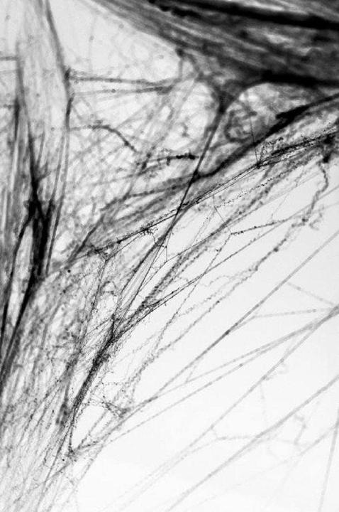 Actual product image Partydeco Black spider web (60g) (1 pcs.)