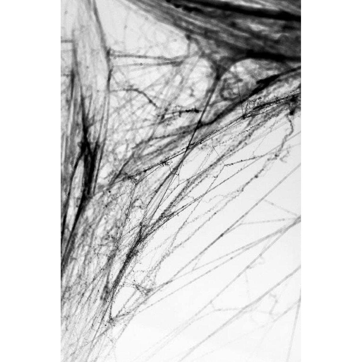 Thumbnail - Partydeco Spinnennetz