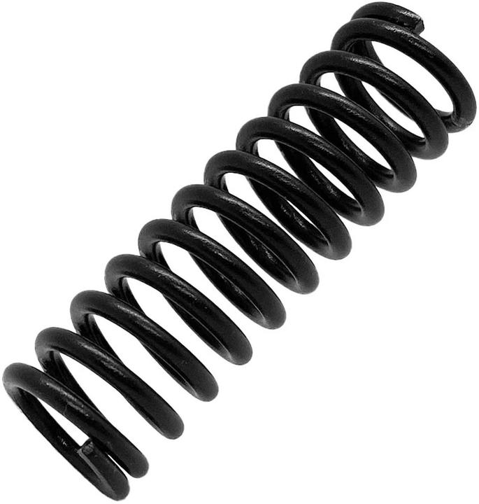 Asetek Festere Gaspedal Feder (PC)