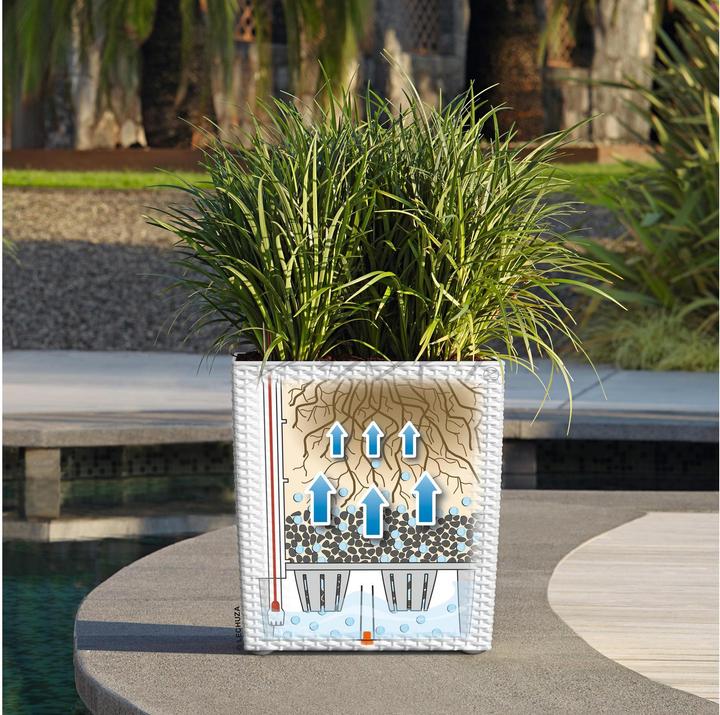 Actual product image Lechuza Cube Cottage (39 x 39 x 40 cm)