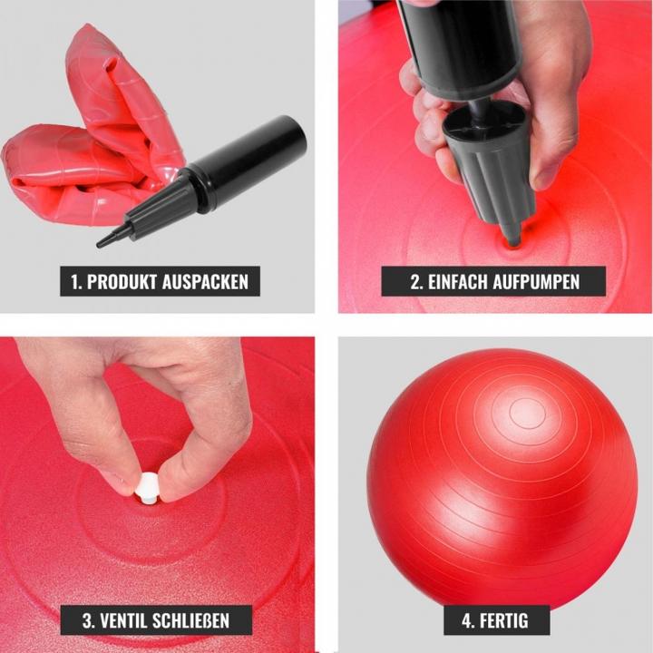 Image du produit Gorilla Sports ballon de gymnastique (75 cm)