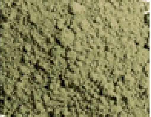 Productafbeelding Vallejo Pigmenten