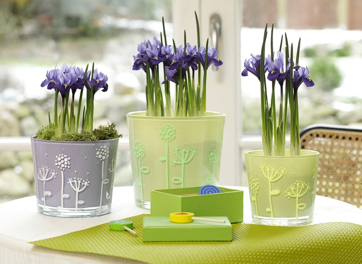 Produktbild Edding Window Marker 4095 (Blau, 3 mm, 1 x)