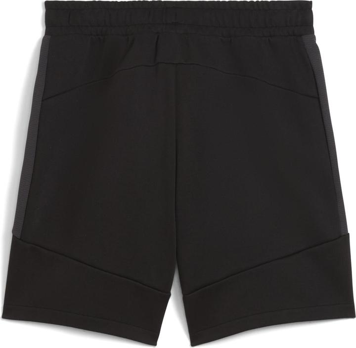Produktbild Puma FCSP EVOSTRIPE Shorts (L)