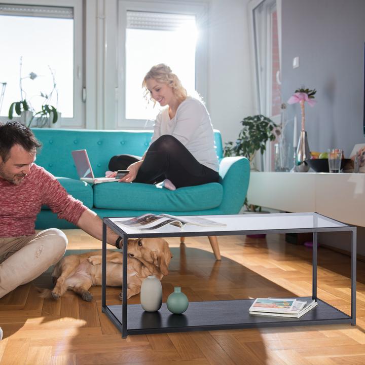 Produktbild Relaxdays Glas (100 x 50 x 42 cm)