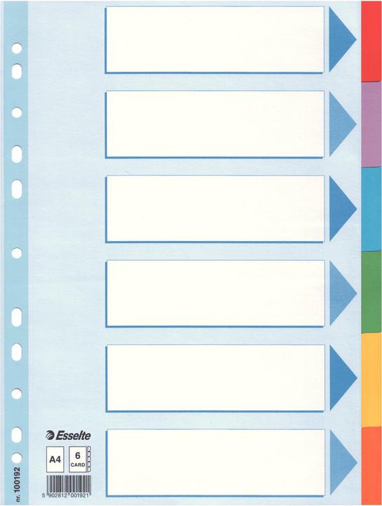 Esselte Register cardboard