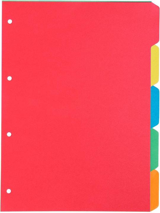 Produktbild Schäfer Shop Kartonregister Select