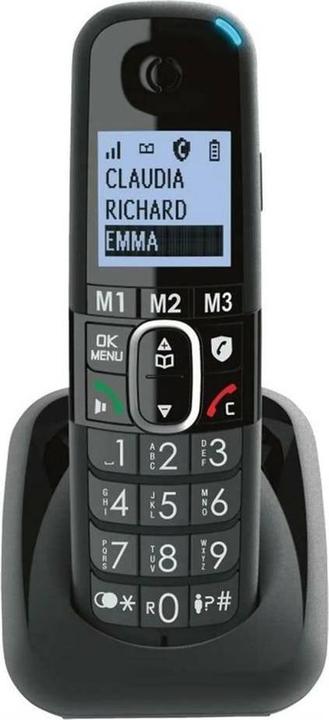 Actual product image amplicom ms BigTel 1582