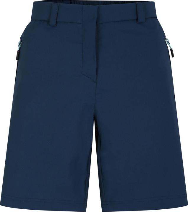 Actual product image Dare2b Womens/Ladies Torrek Shorts (Frequency band 38 (2600 MHz))