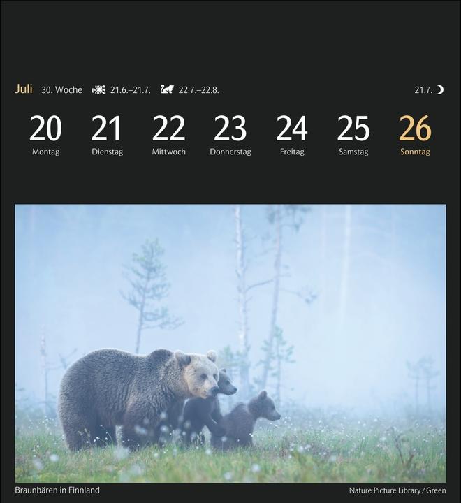 Actual product image Harenberg Magic Nature Postkartenkalender Kalender 2026 - Kalender mit 53 Postkarten (16 x 17.5 cm, No binding, German)