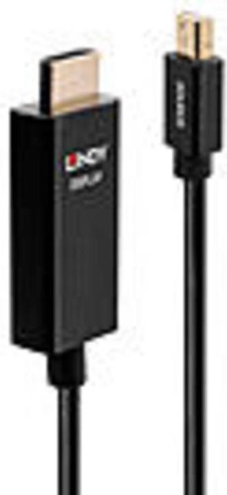 Image du produit Lindy Câble vidéo DisplayPort / HDMI (1 m)