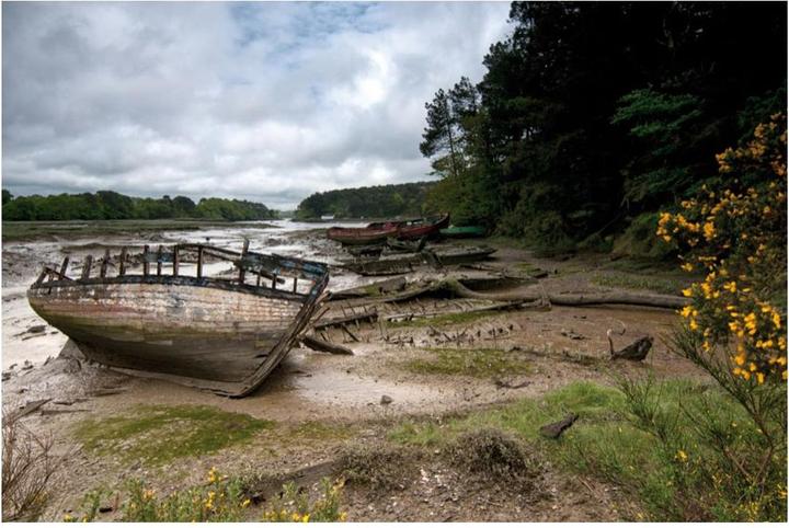 Image du produit Cokin Filtre P121 Déroulement 2 ND 8 (84 mm, Filtre dégradé gris, 84 mm)