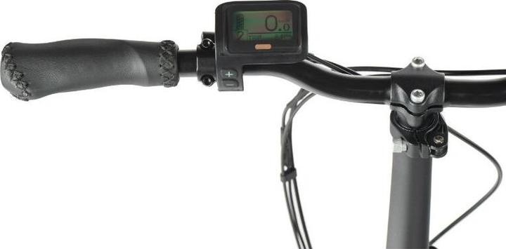 Actual product image Leader Fox Fat Bike 20 Cody 2024 (20")