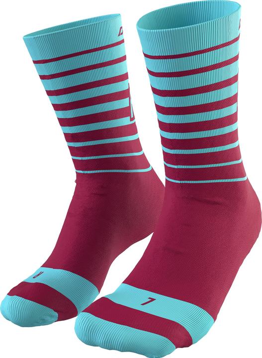 Dynafit Live To Ride Socks
