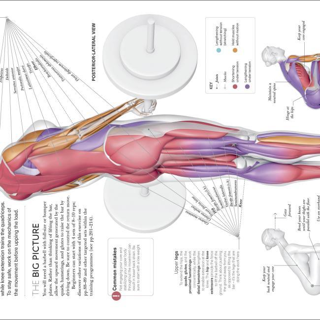 Produktbild Science of Strength Training (Englisch, Austin Current, 2021)