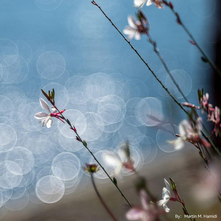 Immagine prodotto TTArtisan 100 mm f/2,8 per M42 (Nero)